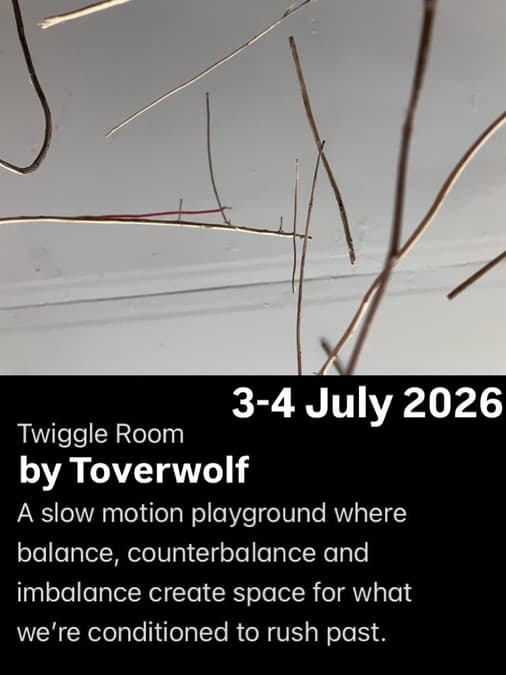 Twiggle Room: a slow motion playground