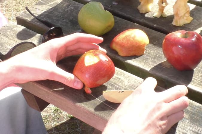 De Appel