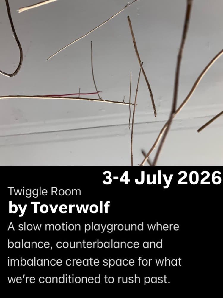 Twiggle Room: a slow motion playground
