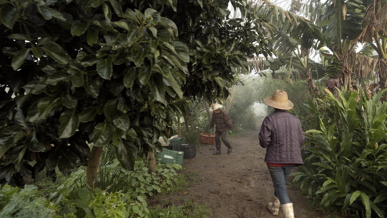 Brazil Unfiltered: 'Mãos à Terra' + special event in collaboration with Cityplot