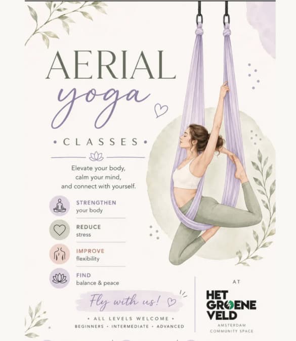Aerial Yoga Flow