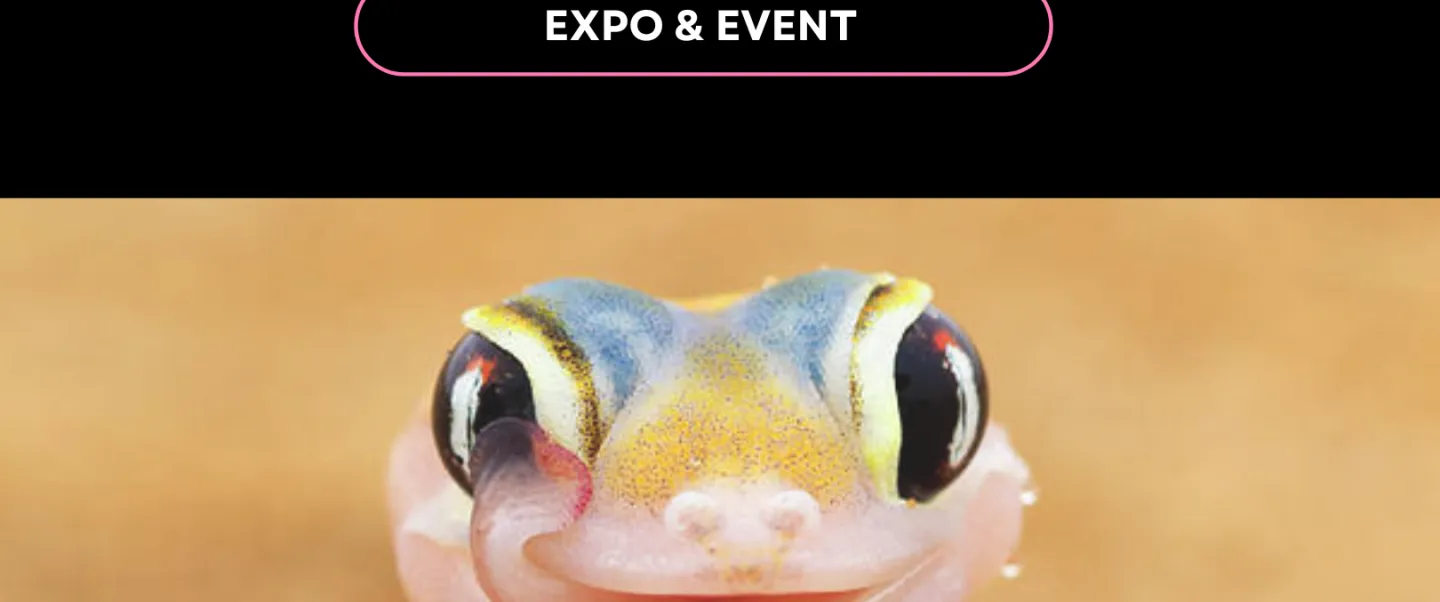 Queer Nature Photography Awards - World Pride Edition