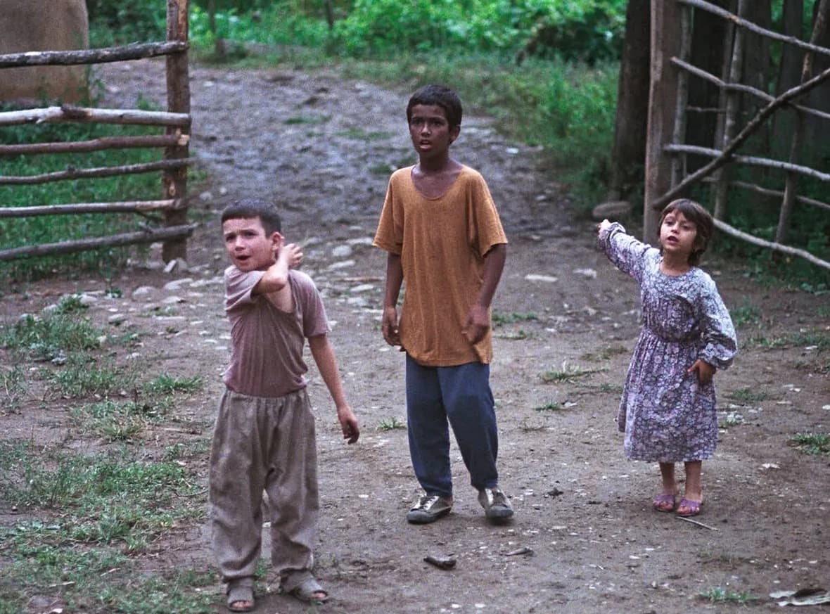 Cinema Derive - BASHU, THE LITTLE STRANGER 1989